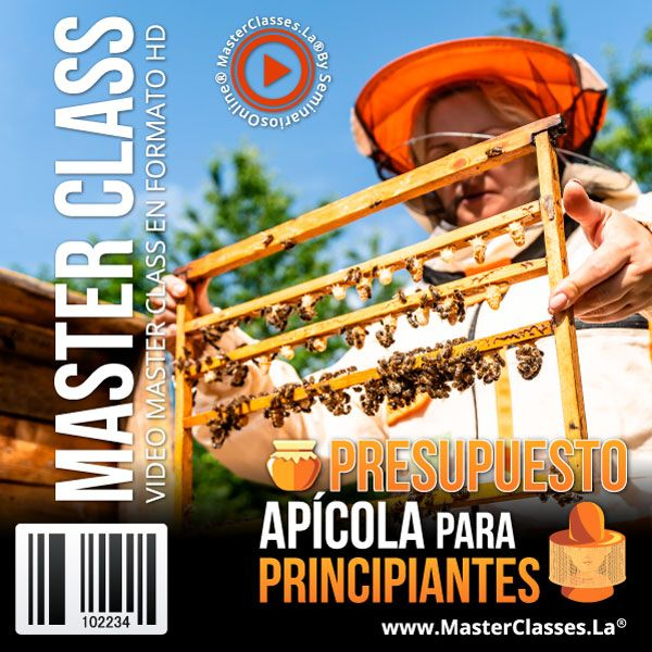 PRESUPUESTO APÍCOLA PARA PRINCIPIANTES