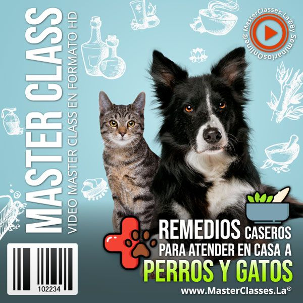 REMEDIOS CASEROS PARA ATENDER EN CASA A PERROS Y GATOS