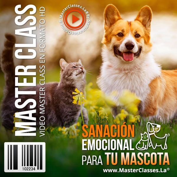 SANACIÓN EMOCIONAL PARA TU MASCOTA