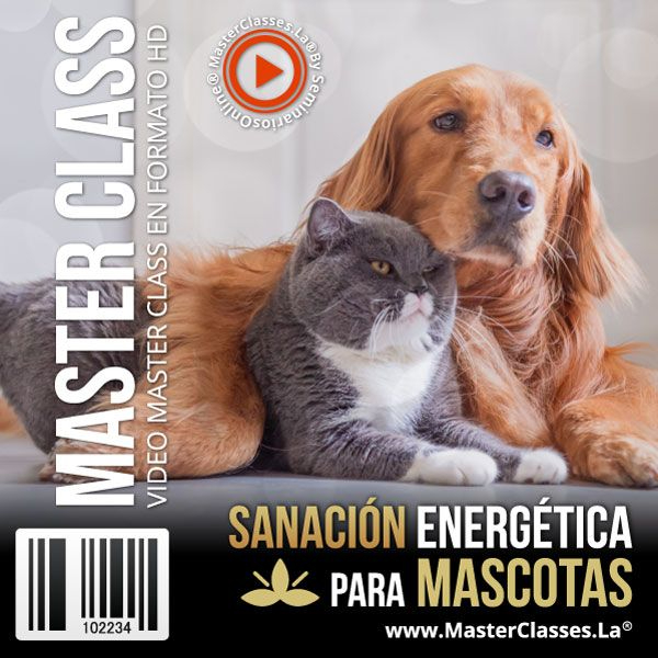 SANACIÓN ENERGÉTICA PARA MASCOTAS