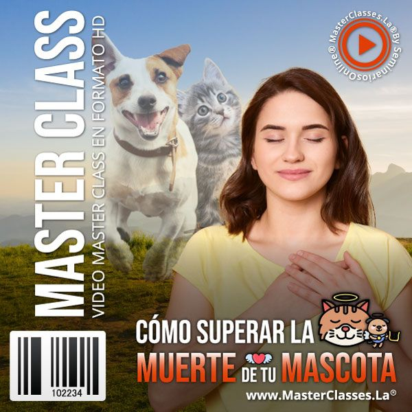 CÓMO SUPERAR LA MUERTE DE TU MASCOTA