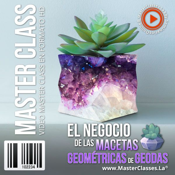 EL NEGOCIO DE LAS MACETAS GEOMÉTRICAS DE GEODAS