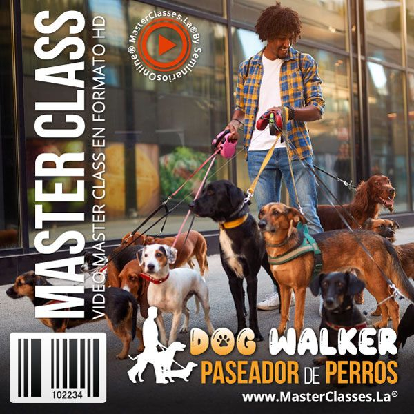 [1565136] DOG WALKER – PASEADOR DE PERROS