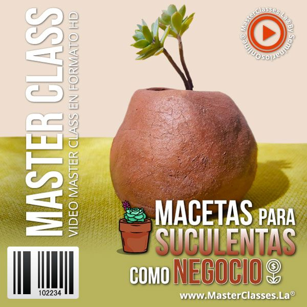 MACETAS PARA SUCULENTAS COMO NEGOCIO