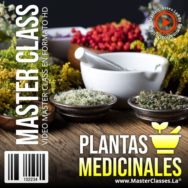 PLANTAS MEDICINALES