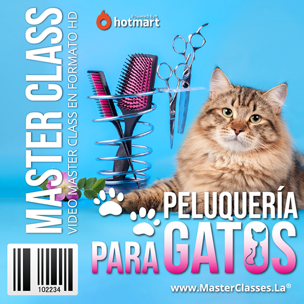[1131934] PELUQUERÍA PARA GATOS
